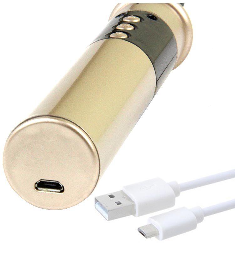 Passion Beat 3 Models Electric Impulse Rechargeable Crop Whip-lovemesex.myshopify.com