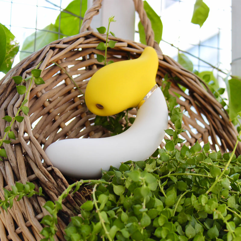 Rotating Banana Vibe