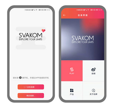 SVAKOM Luxury App Controlled Rechargeable Panty Vibrator